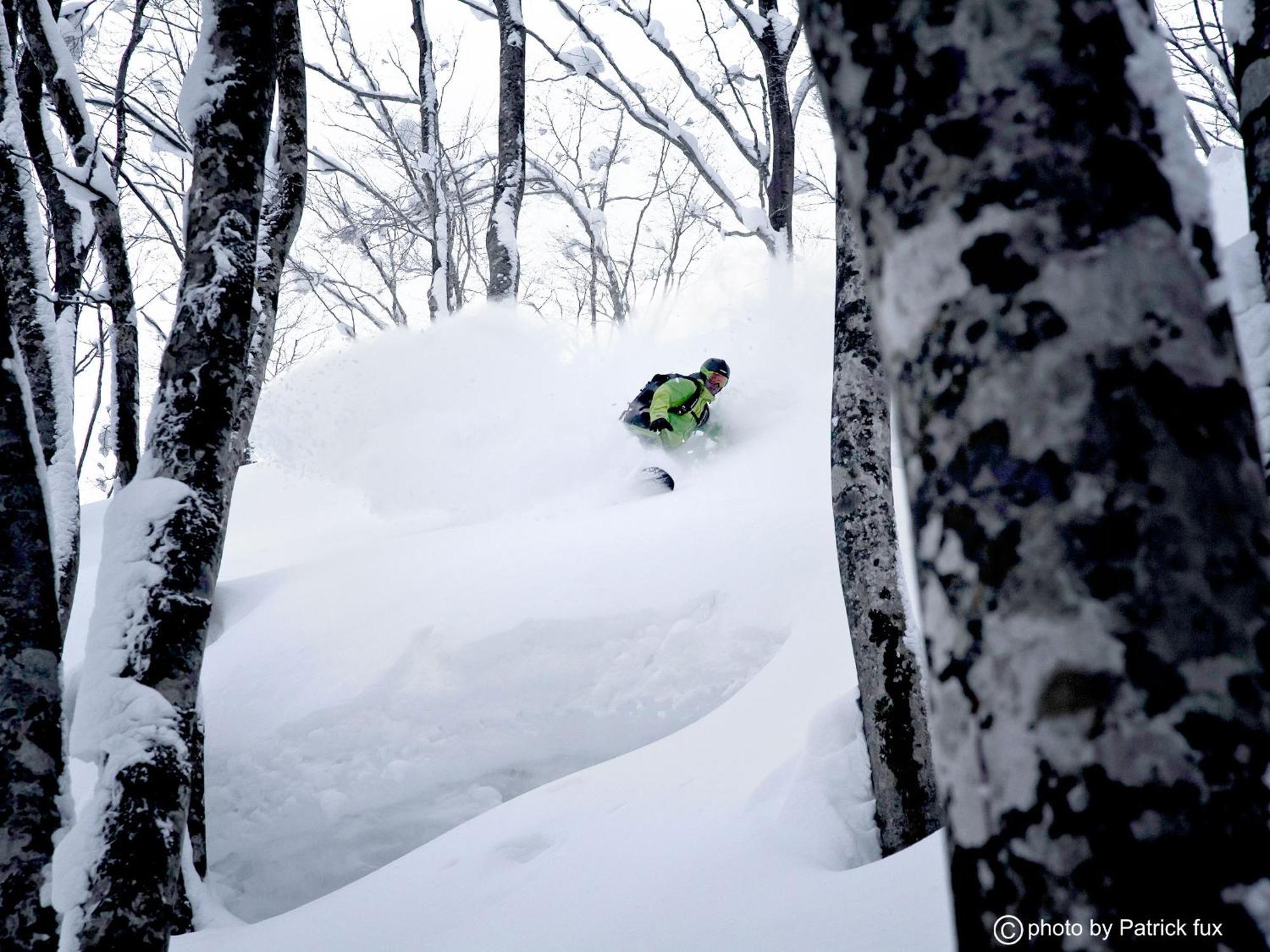 Hotel Green Plaza Hakuba Otari Eksteriør billede
