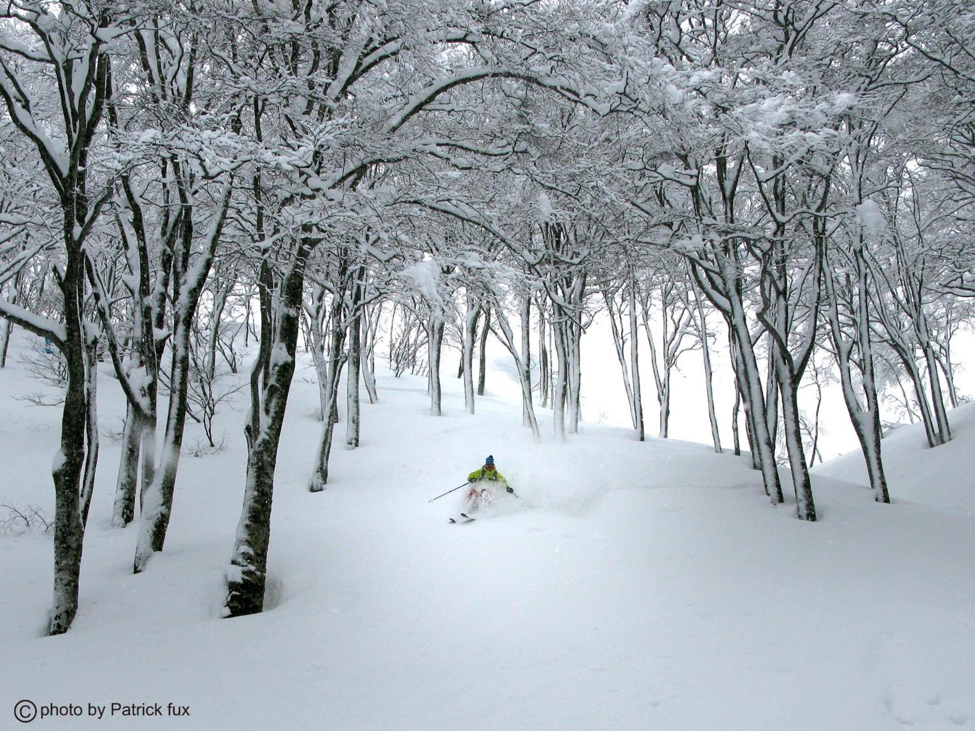 Hotel Green Plaza Hakuba Otari Eksteriør billede