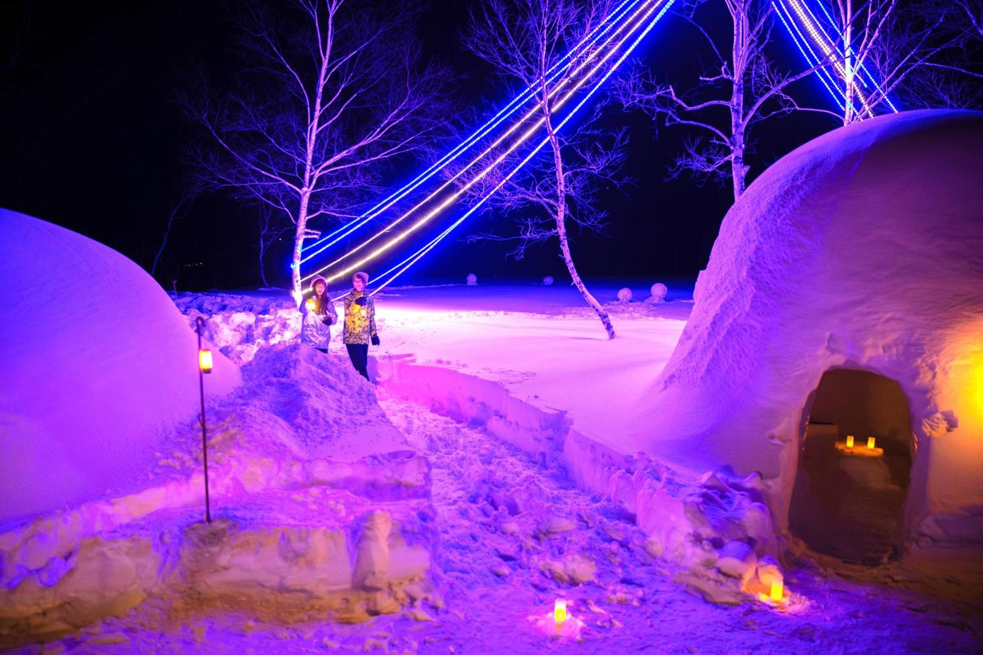Hotel Green Plaza Hakuba Otari Eksteriør billede
